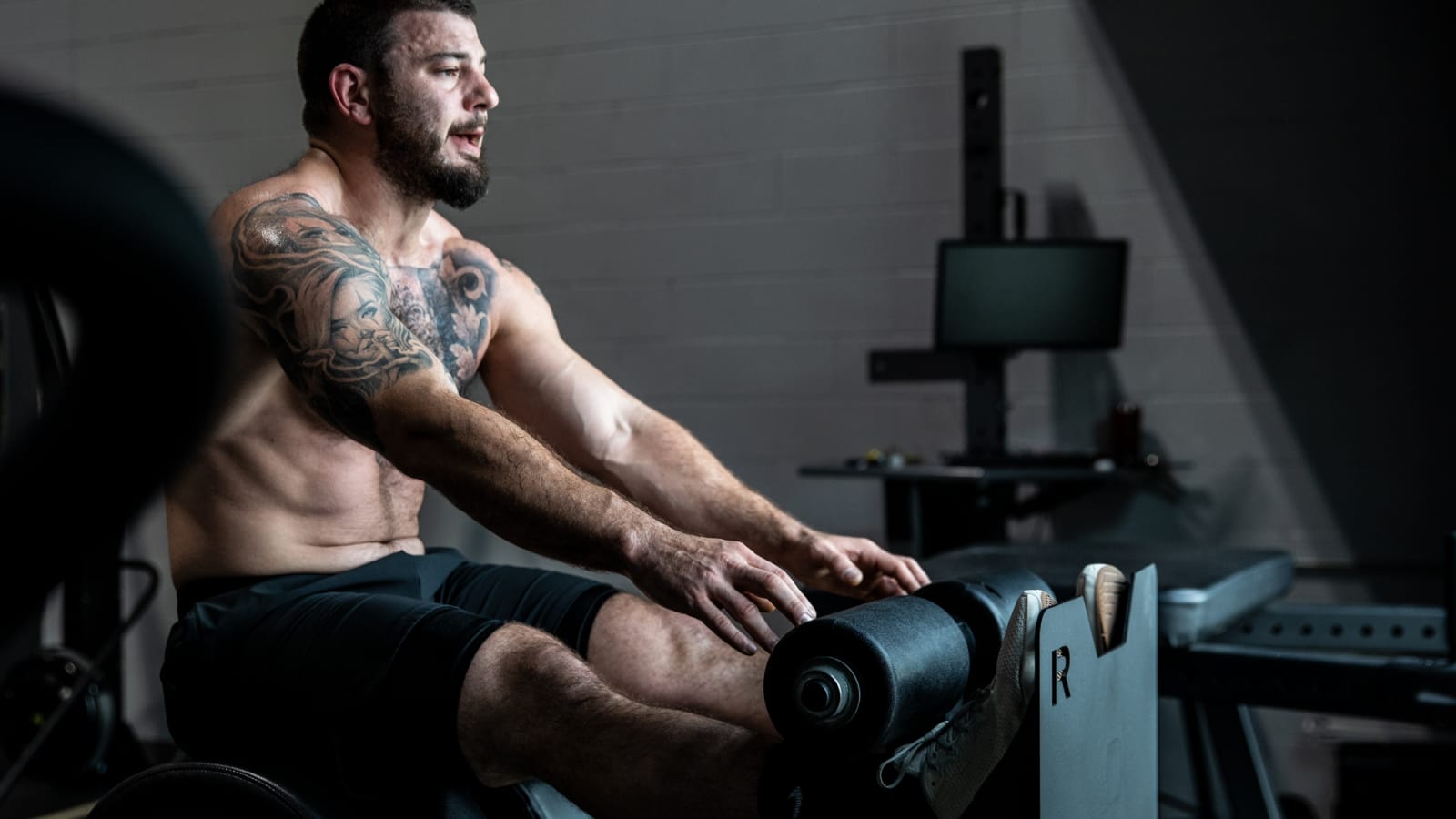 Rogue fitness ghd machine sales